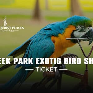 Creek Park Exotic Bird Show Ticket | Bird Show Dubai