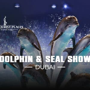 Dolphin and Seal Show Dubai | Dolphin Show Dubai Tickets