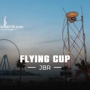 Flying Cup Dubai | Flying Cup Dubai Tickets