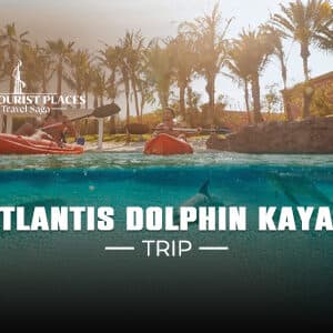 Atlantis Dolphin Kayak Trip | Kayak with Dolphins