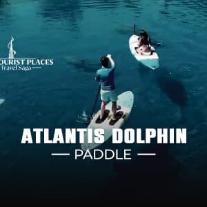 Atlantis Dolphin Paddle | Paddle Boarding with Dolphins