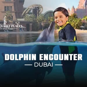 Dolphin Encounter Dubai | Book Dolphin Encounter Dubai Tickets