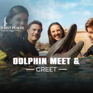 Dolphin meet and greet | Dolphin Meet and Greet Atlantis Dubai