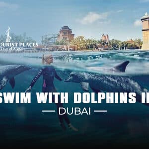 Swim with Dolphins In Dubai | Atlantis Swim with Dolphins