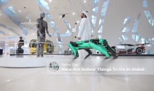 Indoor Things To Do In Dubai featuring family attractions, entertainment, shopping, and exciting experiences