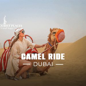 Camel Ride Dubai | Camel Caravan