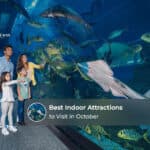 Visitors enjoying climate-controlled attractions and indoor entertainment in Dubai during October.
