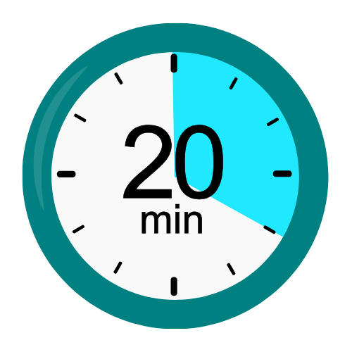 20 mins session