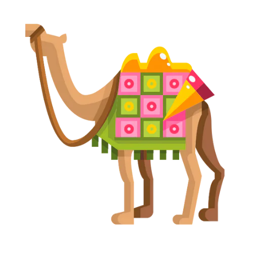 Camel Ride