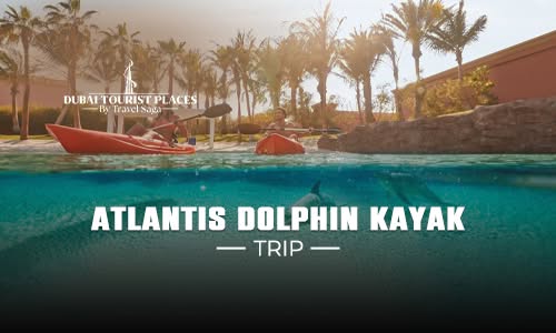 Atlantis Dolphin Kayak Trip