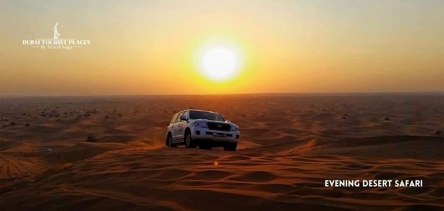 Half-Day City Tour | Evening Desert Safari
