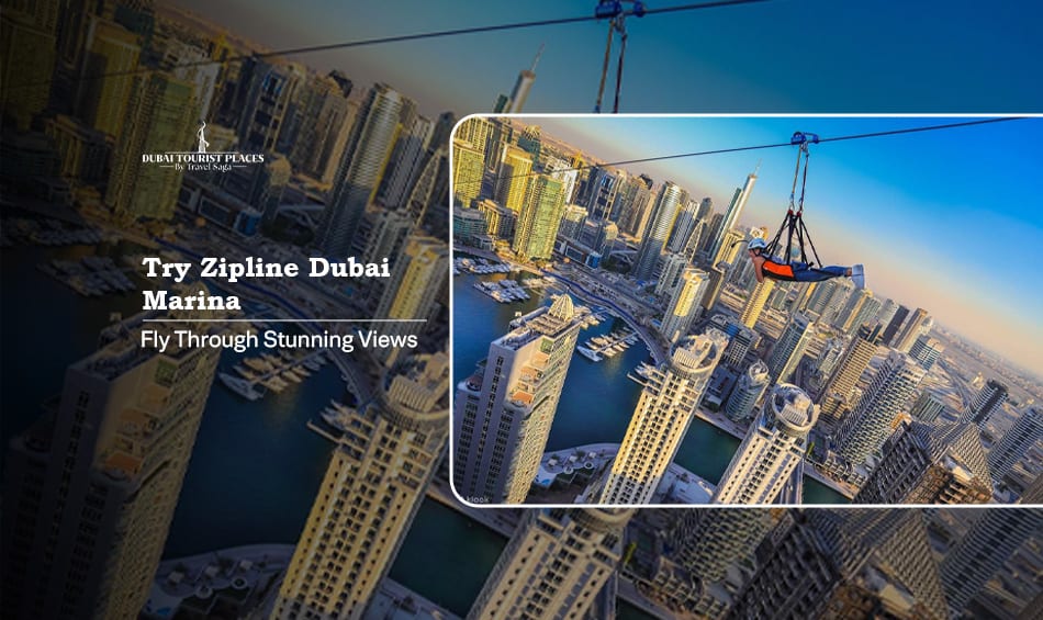 Try Zipline Dubai Marina for thrilling aerial adventures, stunning skyline views, and unforgettable experiences